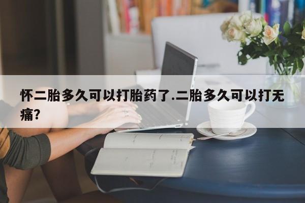 私人店有打胎药吗怀二胎多久可以打胎药了.二胎多久可以打无痛？