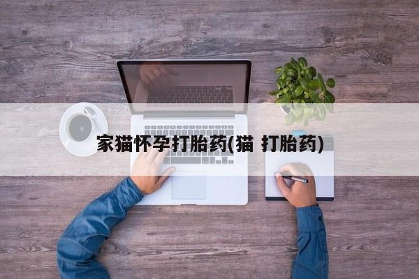 私人店有打胎药吗家猫怀孕打胎药(猫 打胎药)