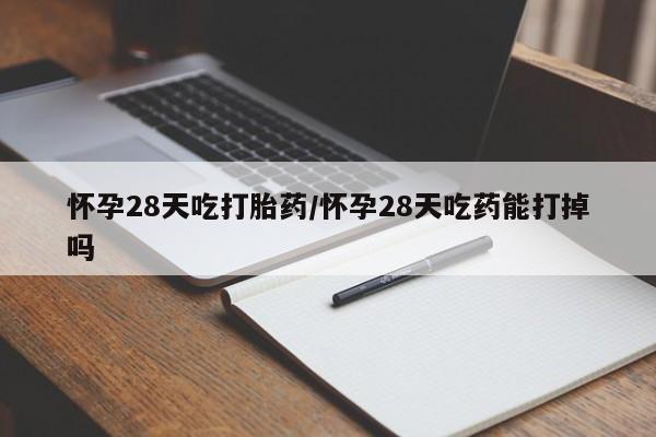 私人店有打胎药吗怀孕28天吃打胎药/怀孕28天吃药能打掉吗